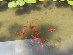 -中国湿地博物馆