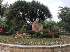 -滴水岩森林公园