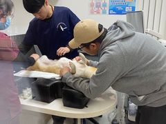 -中农大我爱我爱动物医院·核磁CT·猫病·24小时夜诊中心(石佛营店)