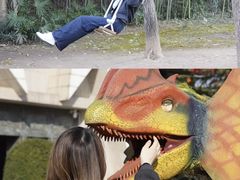 -中国西峡恐龙遗迹园