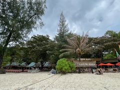 -珊瑚岛