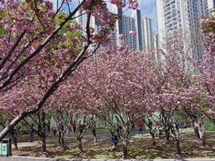 -苏州河梦清园环保主题公园