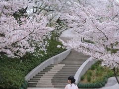 -杭州少年儿童公园