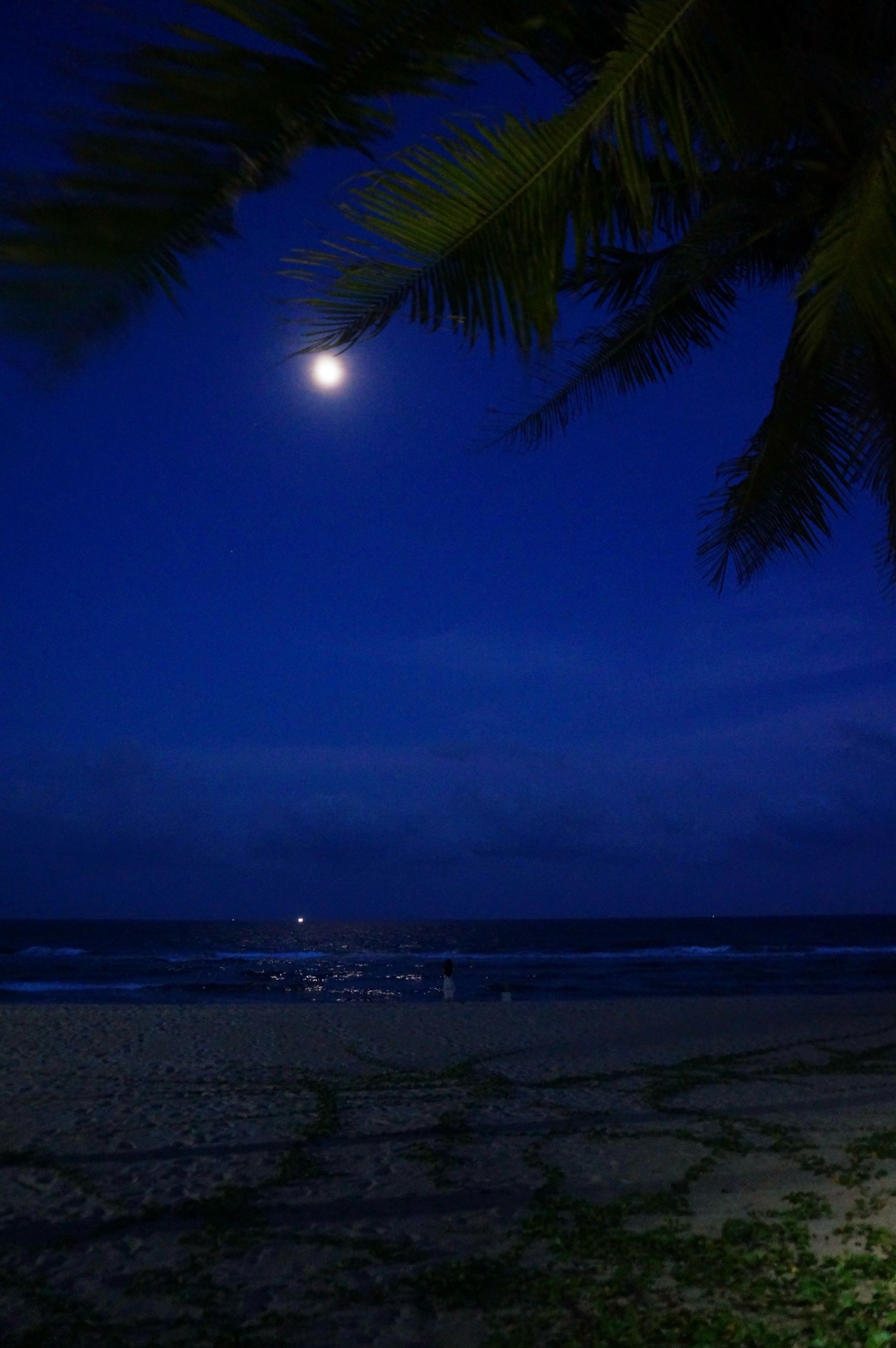 海边夜晚的温暖火光