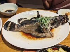 -伊喜饺子·烤鸭(五道口学院路店)