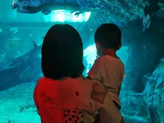 -华夏文旅海洋公园