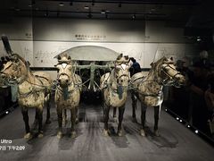 -秦始皇帝陵博物院-丽山园