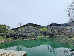 -树山生态村
