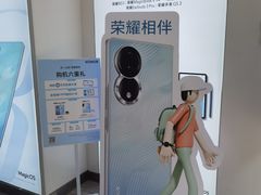 -荣耀授权专卖店(黄浦浙江中路店)