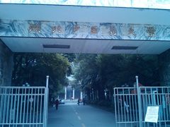 校门-湖北中医药大学(昙华林校区)