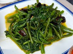 小炒白菜-邹记酸菜鱼