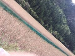 钦善斋-钦善斋(武侯祠店)
