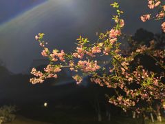 -杭州城北体育公园