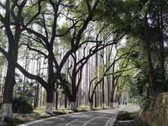 -采石矶景区