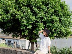 -低涌(地铁站)