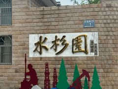 -水杉园