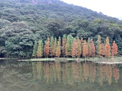 -广州市石门国家森林公园