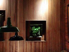 -前海沿·青岛菜(大拇指广场石老人店)