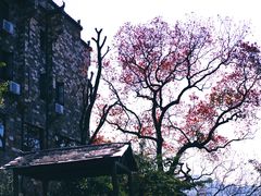 -塔川景区