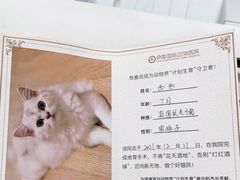 -奈斯宠物医院·核磁CT·异宠专科·内镜(中南店)