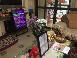 -杉惠素颜美妆皮肤管理中心