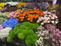 -朝来春花卉市场