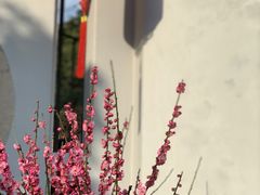 -无锡梅园公园