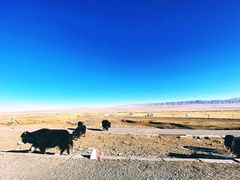 -青海湖国家重点风景名胜区