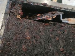 -紫光园清真北京小吃(正阳大街店)