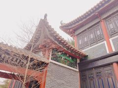 -顺峰山公园