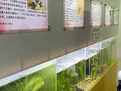 -上海大自然野生昆虫馆(东方明珠·爬宠昆虫探索中心)