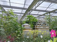 -南宫五洲植物乐园