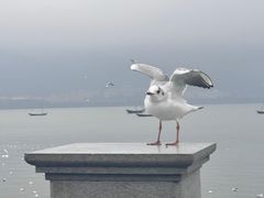 -海埂大坝