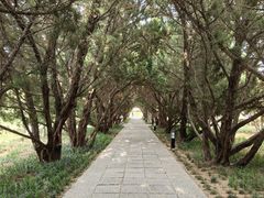 -洛阳古墓博物馆