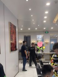 -YESIDO椰岛造型