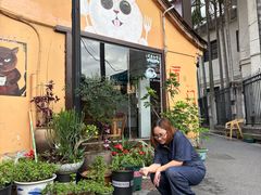 -猫岛主趣味餐厅(鼓浪屿店)