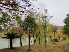 -洪湖悦兮半岛国际温泉度假村