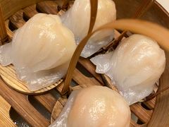 -金鼎轩(方庄天坛店)