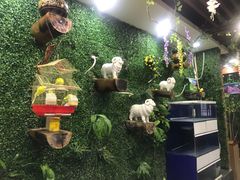-鹏馨羊羔肉·非遗(新建街店)