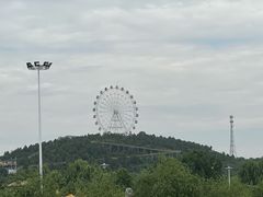 -五龙山野生动物王国