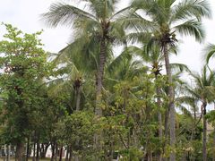 -三亚西岛海洋文化旅游区