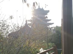 -杭州半山国家森林公园