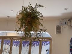 -春树下·树屋花房西餐厅(罍街AS1980店)