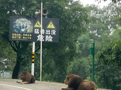 -乐和乐都动物主题乐园