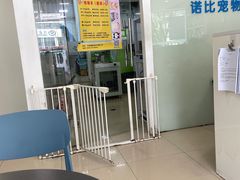 -诺比宠物医院心脏内科·泌尿肾内外科·骨科急重症