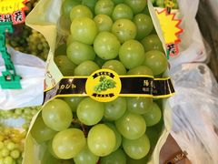 日本青提-乐乐鲜果水果超市(河北店)