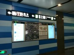 -大望路(地铁站)