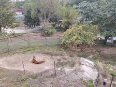 -深圳野生动物园