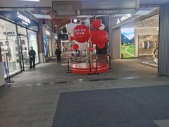 -盛京大奥莱(沈阳奥体店)