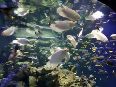 -成都浩海立方海洋公园